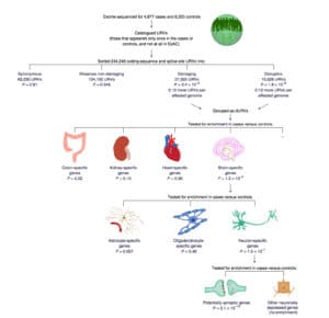 fig6